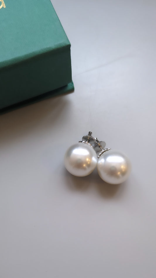 Pearl Studs
